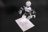 JD Humanoid from EZ-Robot